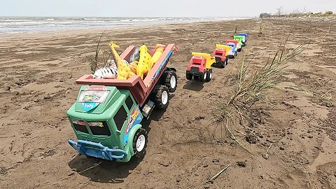 Exploring a Diverse Parade of Car Convoys