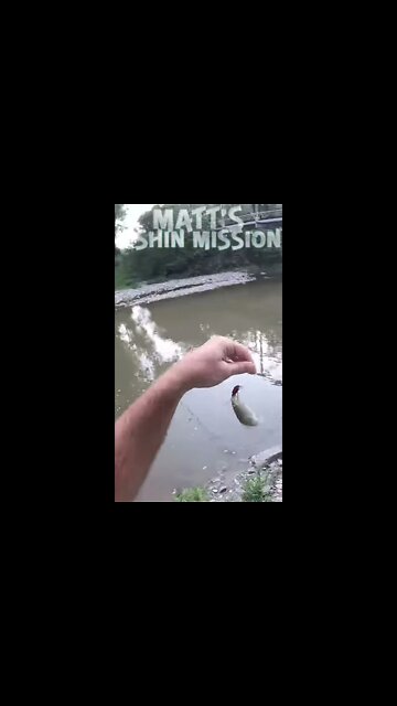 Skinny water smallies (short version)