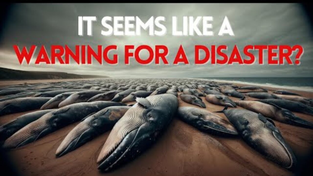 IT SEEMS LIKE A WARNING FOR A DISASTER!