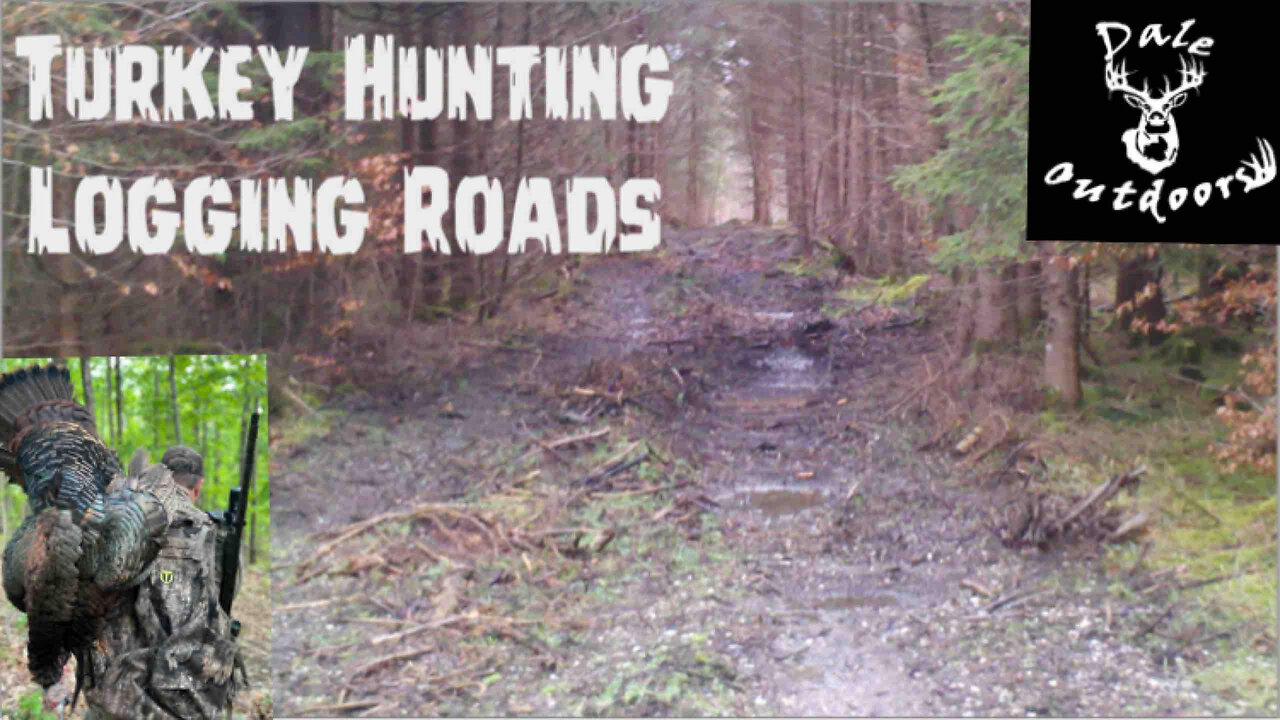 Turkey Hunting Logging Roads/ Setting up the correct way for an Ambush