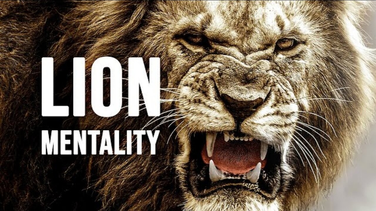 LION MENTALITY - Motivational Video