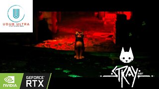 Stray | 4k Gameplay | PC Max Settings | RTX 3090 | AMD 5900x | Single Player Gameplay