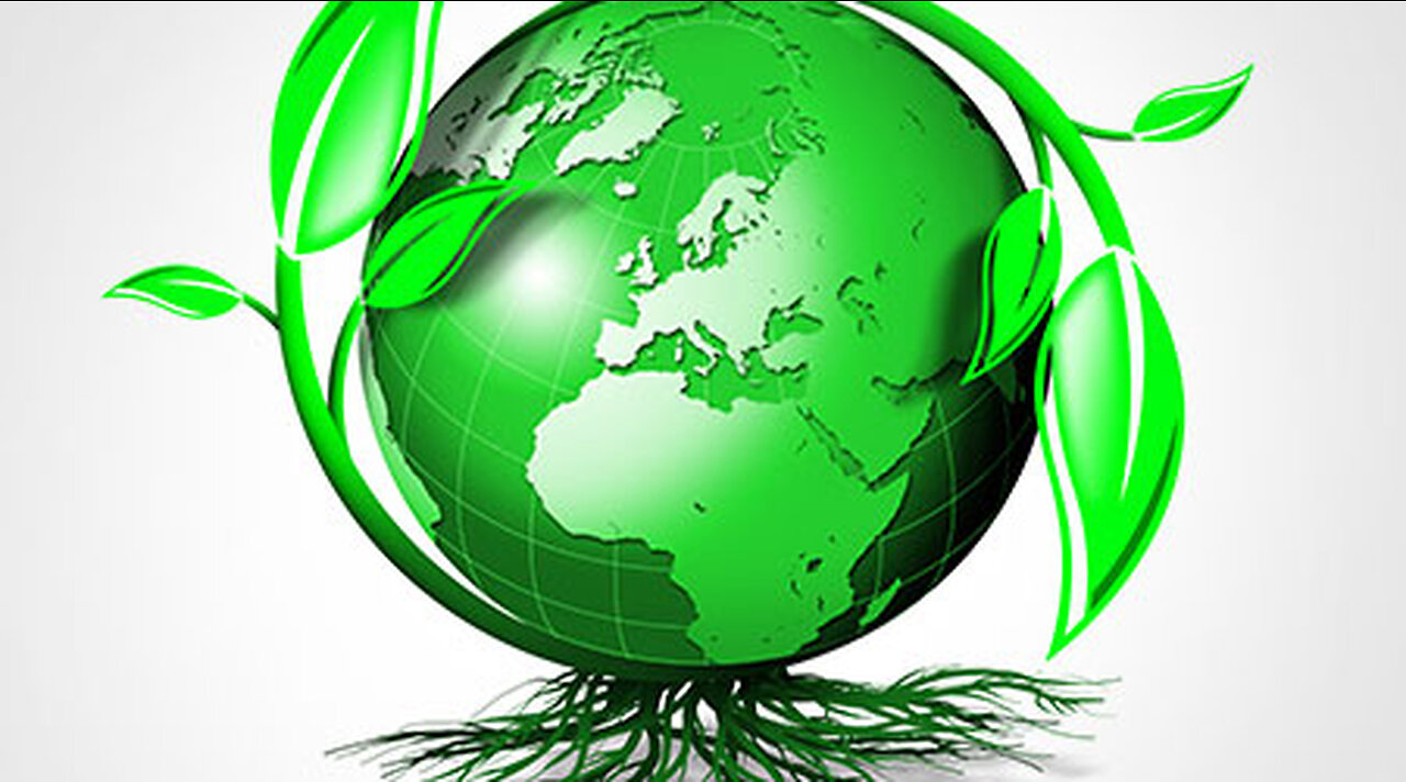 The Top 5 Green Products of 2023 to Improve Your Life