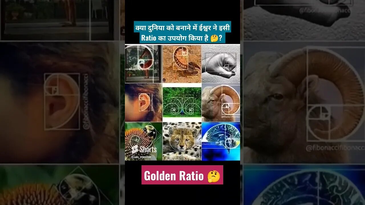 Golden Ratio|| क्या दुनिया में ईश्वर ने इसका Use किया?