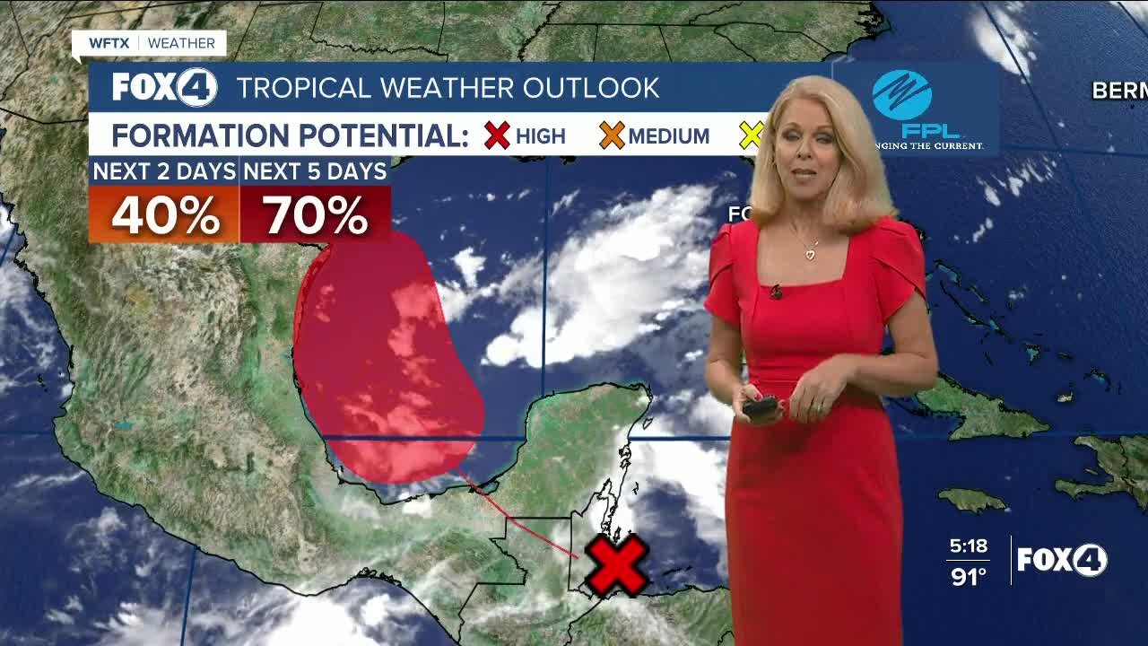 Tracking the tropics