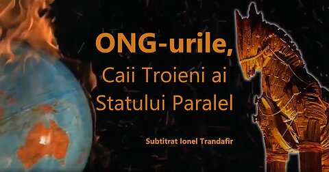 ONG-urile sunt Caii Troieni ai Statului Paralel