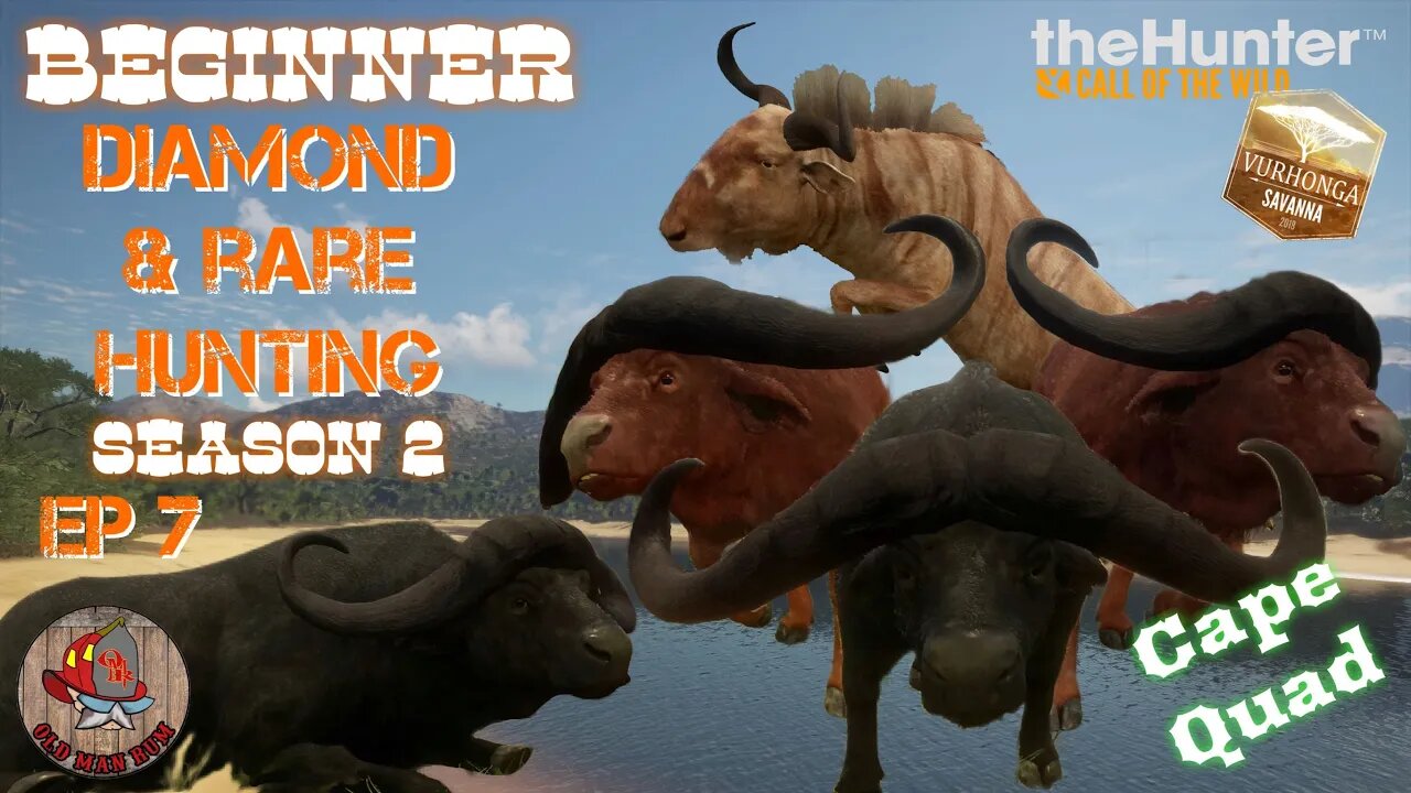 WOW! Cape Quad - Beginner DIAMOND & RARE Hunting Ep 37 - theHunter Call of the Wild