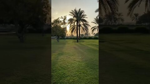 Amazing 🤩