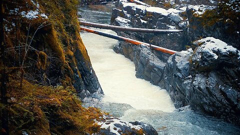 Relaxing Hike along Little Qualicum Falls, Vancouver Island, Canada