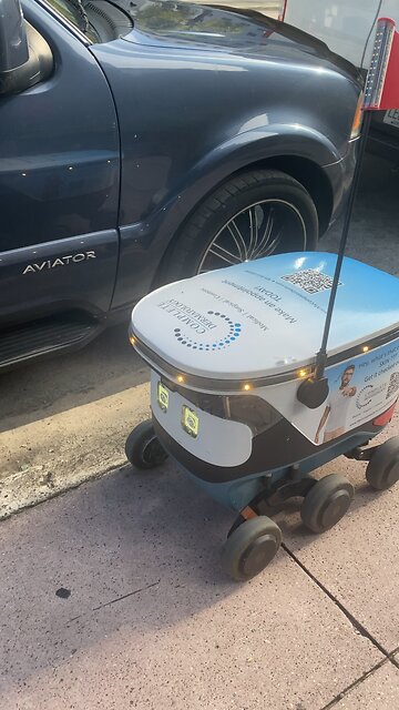 City of delivery robots