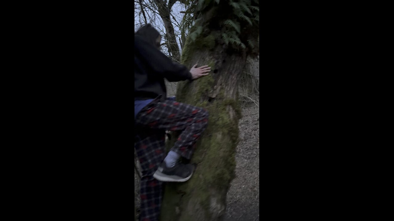 Carter Goes Tarzan On Tree