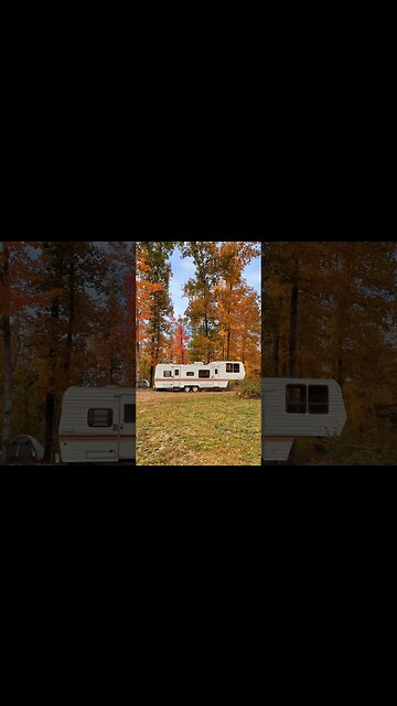 FULL TOUR ON OUR CHANNEL!!#homestead #offgrid #tennessee #offgridliving #rvlife #rv
