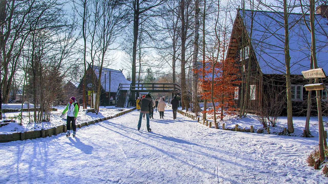 Ice Skating in the Spreewald