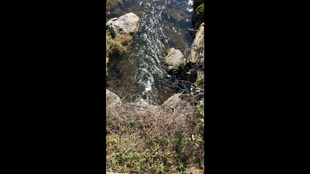 Clear clean water flowing in clean clear stream