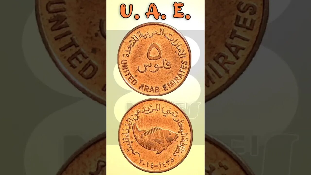 U. A. E. 5 Fils 2014.#shorts #education #coinnotesz