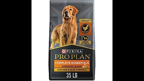 High Protein Dog Food