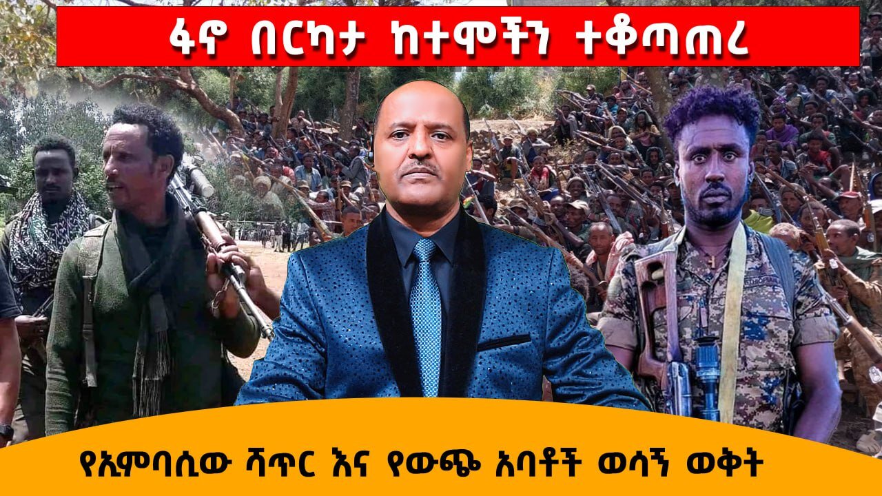 ፋኖ በርካታ ከተሞችን ተቆጣጠረ የኢምፓሲው ሻጥር እና የውጭ አባቶች ወሳኝ ወቅት