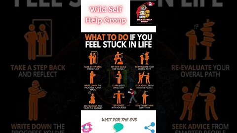 🔥What to do if you feel stuck in life🔥#shorts🔥#wildselfhelpgroup🔥19 August 2022🔥