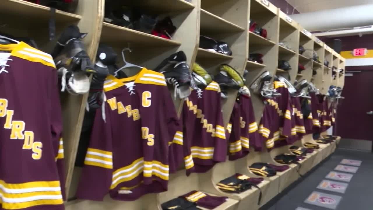 Fond du Lac's girls hockey program expanding