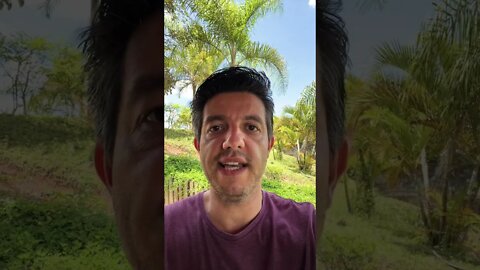 2 de dezembro de 2021