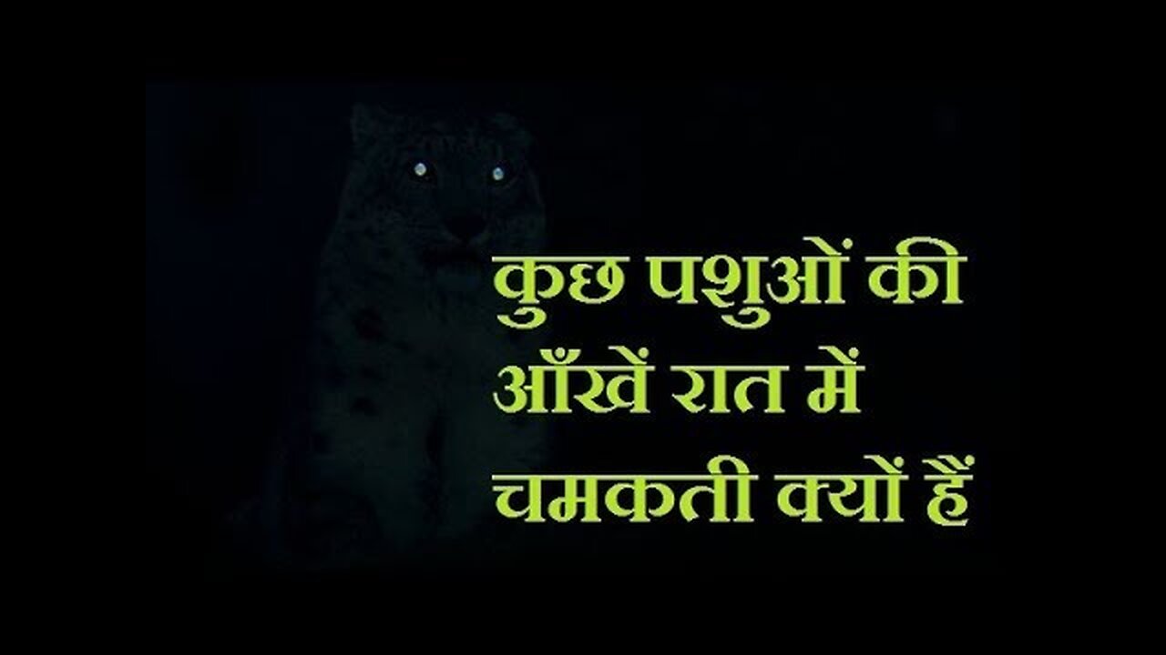 कुछ पशु पक्षियों की आँखें रात में चमकती क्यों हैं