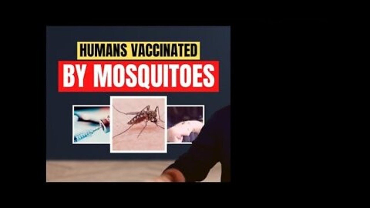 Bill Gates New Vaccine Mosquitoes and New Lockdowns Due to Mosquitoes Illness