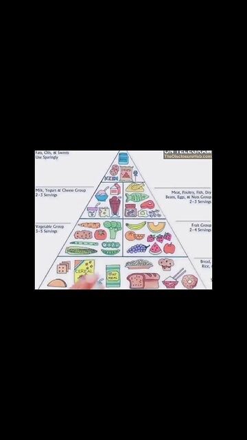 The New Food Pyramid SCAM