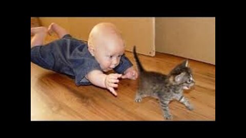 Baby and Cat Fun and Cute - Funny Baby Video