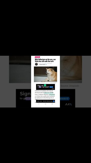 Can Shiba Inu Still Walk The Bark? #cryptomash #ytshorts #cryptonews #viralvideo2022