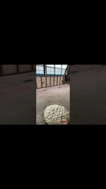 #shorts #2022 funny,prank,funjokes,dad jokes,funny memes,funny video,fun,laughing,funny animal,knock