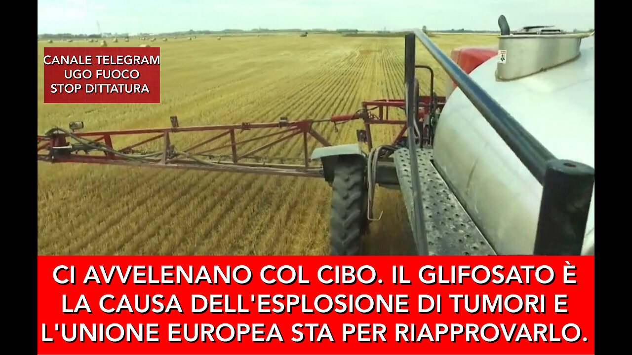 CI AVVELENANO CON IL CIBO, L'UNIONE EUROPEA STA PER RIAPPROVARE IL GLIFOSATO