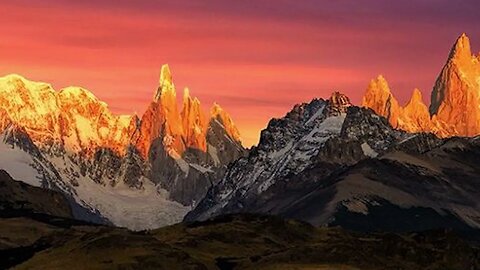 The Circle of Life Embracing the Interconnectedness