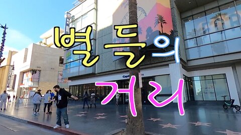 BTMS 별들의 거리, 명예의 거리, 스타 스트릿