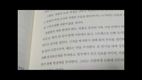 비건, 소울푸드, 채식의 즐거움, 이도경, 채식은 지구문제해결대안, 채식은 종을 초월한 위대한 사랑의 실천, 채식 식당 창업 컨설턴트, 음식 철학가, 맑은 기운, 태양에너지, 식물