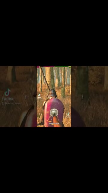Bannerlord mods from TikTok 11