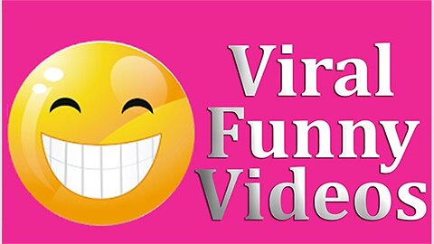 The best funny videos