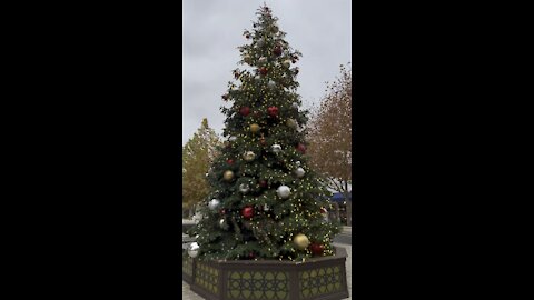 Christmas Tree