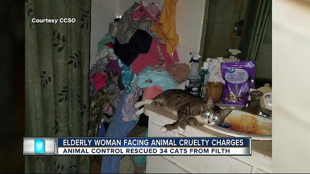 34 cats seized from 'extreme filth, hazardous conditions' inside Citrus County house