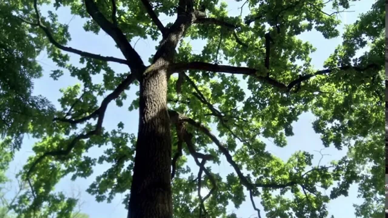 Zostaw - Beata Antoniuk z tomiku Ciemność duszy