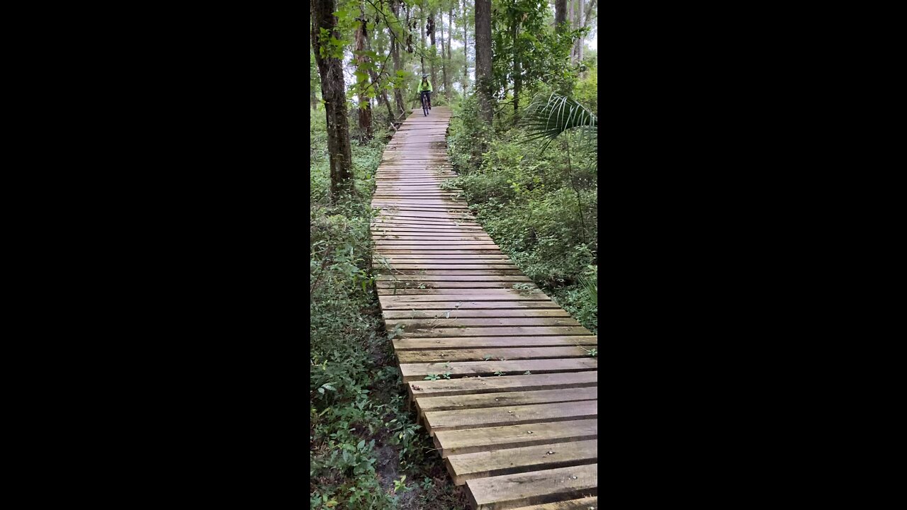 Spider Kingdom bike trail