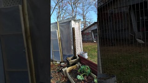 Update on Greenhouse.