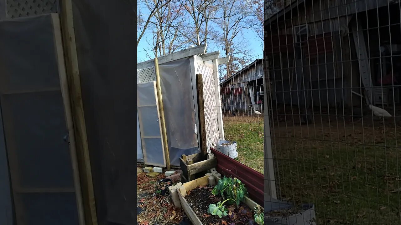 Update on Greenhouse.