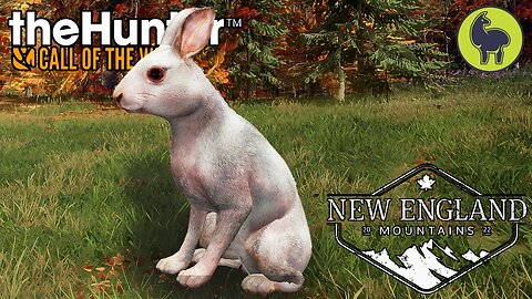 First Rare on New England Mountains | theHunter: Call of the Wild PS5