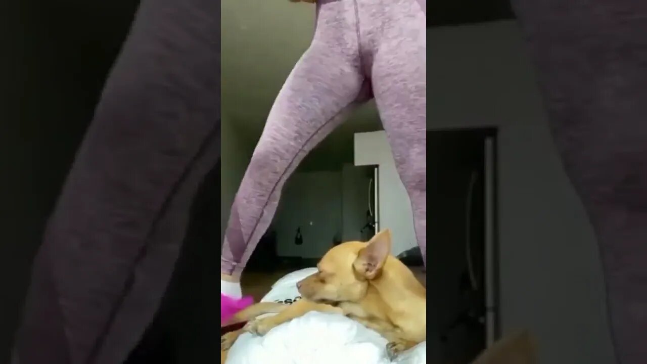 #trynottolaugh #shorts