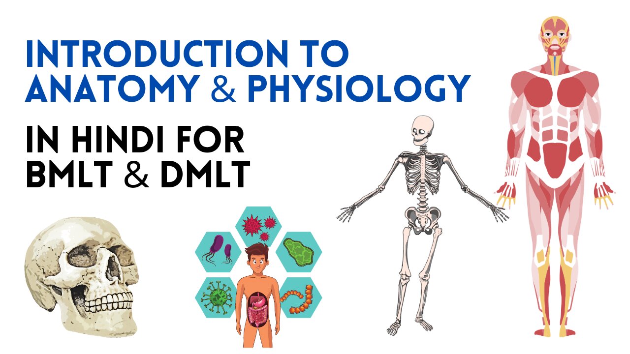 Introduction of Human Anatomy and Physiology in Hindi for BMLT & DMLT by LabLogix