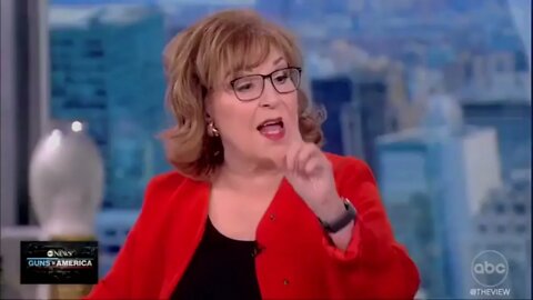 Joy Behar from the View - Once black people get guns in this country the gun laws will change