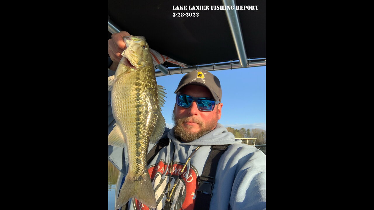 Lanier Report 3-28-2022