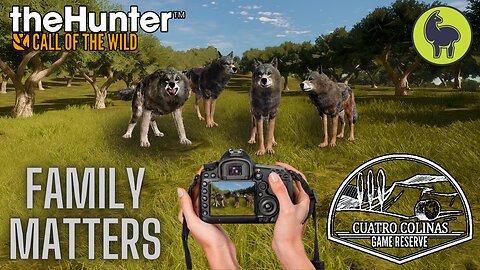 Family Matters, Cuatro Colinas | theHunter: Call of the Wild (PS5 4K)