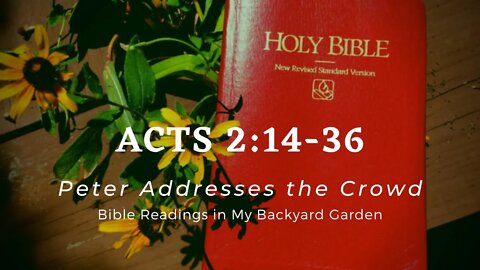 ACTS 2:14-36 (Peter Addresses the Crowd)