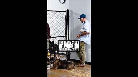The Many Sides Of Working Through Reactivity